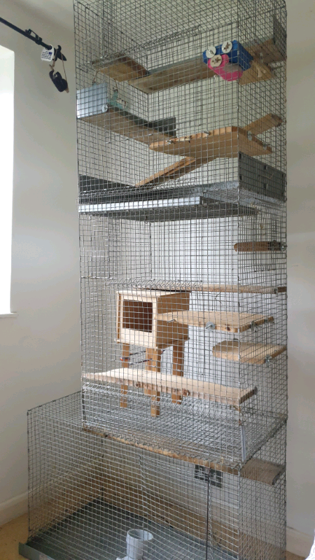 chinchilla accessories